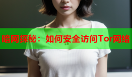 暗网探秘：如何安全访问Tor网络