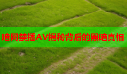 暗网禁播AV揭秘背后的黑暗真相