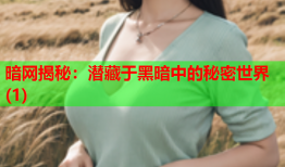 暗网揭秘：潜藏于黑暗中的秘密世界(1)