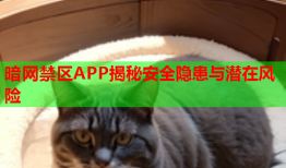 暗网禁区APP揭秘安全隐患与潜在风险