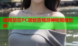 暗网禁区PC版能否畅游神秘网络世界