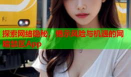 探索网络隐秘，揭示风险与机遇的网暗禁区App