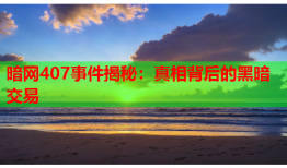 暗网407事件揭秘：真相背后的黑暗交易