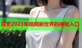 探索2023年暗网新世界的神秘入口