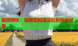 暗网揭秘：潜藏在网络深处的秘密世界