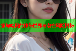 缅甸暗网的神秘世界与潜在风险揭秘