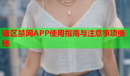 暗区禁网APP使用指南与注意事项揭秘