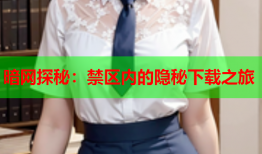 暗网探秘：禁区内的隐秘下载之旅