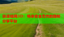 禁漫暗网3D：畅享安全无忧的隐秘分享平台