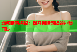 缅甸暗网探秘：揭开黑暗网络的神秘面纱