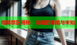 暗网禁区揭秘：潜藏的黑暗与未知