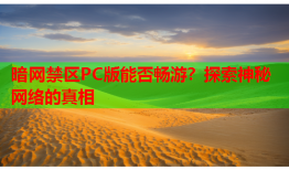 暗网禁区PC版能否畅游？探索神秘网络的真相