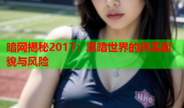 暗网揭秘2017：黑暗世界的真实面貌与风险