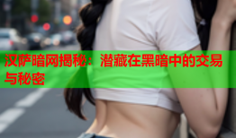 汉萨暗网揭秘：潜藏在黑暗中的交易与秘密