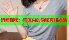 暗网探秘：禁区内的隐秘真相揭晓