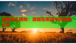 暗网禁区揭秘：潜藏在黑暗中的隐秘世界