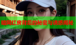 暗网红房背后的秘密与诱惑揭秘