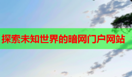 探索未知世界的暗网门户网站