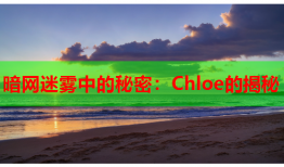 暗网迷雾中的秘密：Chloe的揭秘