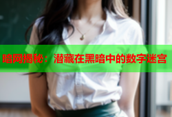 暗网揭秘：潜藏在黑暗中的数字迷宫