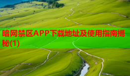 暗网禁区APP下载地址及使用指南揭秘(1)