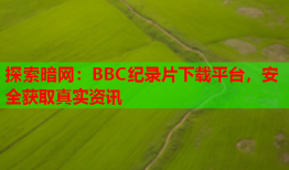 探索暗网：BBC纪录片下载平台，安全获取真实资讯