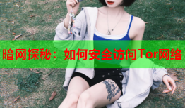 暗网探秘：如何安全访问Tor网络