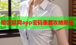 暗区禁网app密码重置攻略揭秘