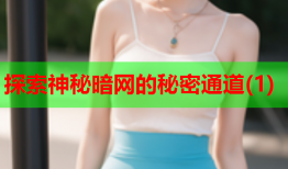 探索神秘暗网的秘密通道(1)