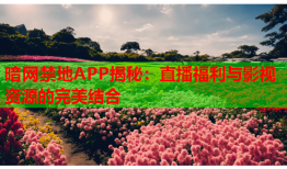 暗网禁地APP揭秘：直播福利与影视资源的完美结合