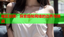 暗区禁网：探索隐秘网络的边界与挑战