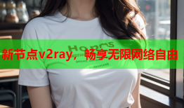 新节点v2ray，畅享无限网络自由