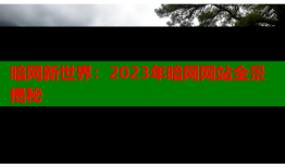 暗网新世界：2023年暗网网站全景揭秘