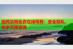 暗网禁网免费在线观看：安全隐私，畅享无限资源