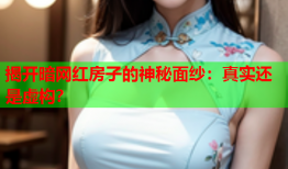 揭开暗网红房子的神秘面纱：真实还是虚构？