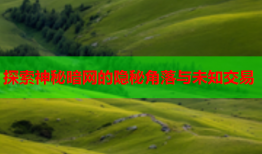 探索神秘暗网的隐秘角落与未知交易