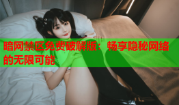 暗网禁区免费破解版：畅享隐秘网络的无限可能