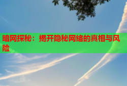 暗网探秘：揭开隐秘网络的真相与风险