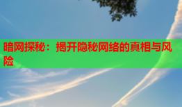 暗网探秘：揭开隐秘网络的真相与风险