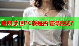 暗网禁区PC版是否值得尝试？