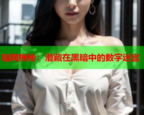 暗网揭秘：潜藏在黑暗中的数字迷宫