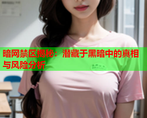 暗网禁区揭秘：潜藏于黑暗中的真相与风险分析