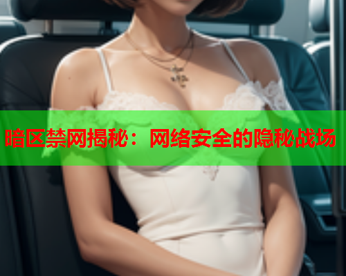 暗区禁网揭秘：网络安全的隐秘战场