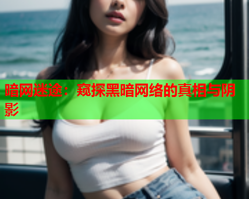 暗网迷途：窥探黑暗网络的真相与阴影