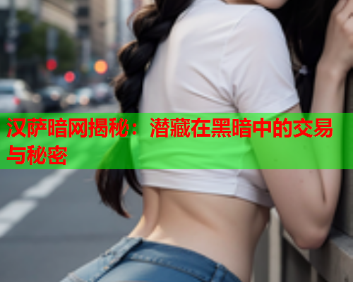 汉萨暗网揭秘：潜藏在黑暗中的交易与秘密