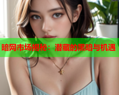 暗网市场揭秘：潜藏的黑暗与机遇