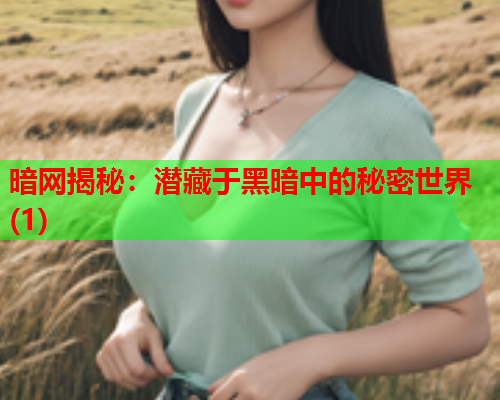 暗网揭秘：潜藏于黑暗中的秘密世界(1)