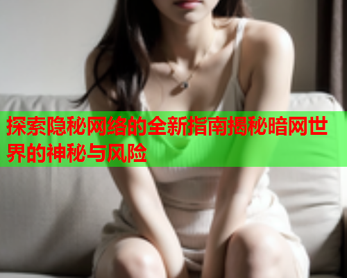 探索隐秘网络的全新指南揭秘暗网世界的神秘与风险