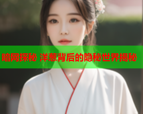 暗网探秘 洋葱背后的隐秘世界揭秘