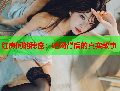 红房间的秘密：暗网背后的真实故事